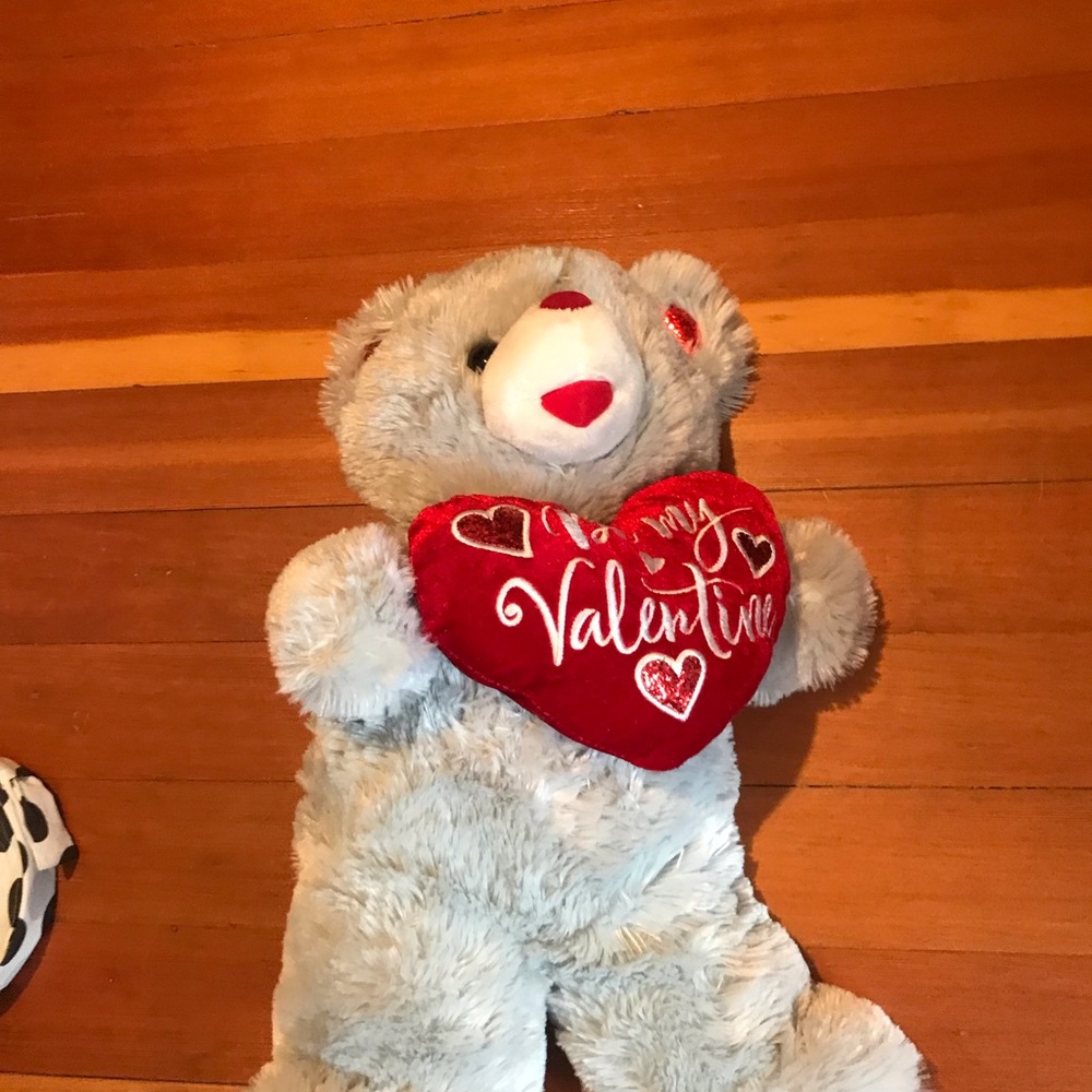 Valentines teddy bear